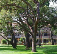Trinity - Accommodation Sunshine Coast
