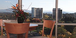 Waldorf Apartment Hotel Canberra - Accommodation Sunshine Coast 5