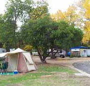 Wedderburn Pioneer Caravan Park - Accommodation Sunshine Coast