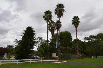 Westview Tourist Caravan Park - Accommodation Sunshine Coast 8