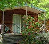 Wombeyan Caves Caravan & Camping Reserve - Accommodation Sunshine Coast 1