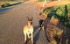 Bindoons Windmill Farm - thumb 0