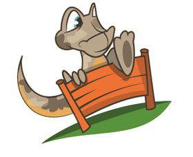 Dare Adventures - Accommodation Sunshine Coast 0