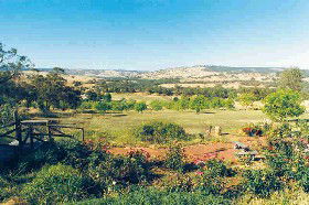 Pecan Hill Bed And Breakfast - Accommodation Sunshine Coast 0