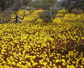 Yalgoo Caravan Park - Accommodation Sunshine Coast 3