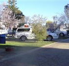 Horseshoe Motor Village - Accommodation Sunshine Coast