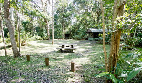 Iron Pot Creek Campground - Accommodation Sunshine Coast 0