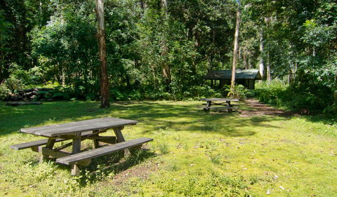 Iron Pot Creek Campground - Accommodation Sunshine Coast 1