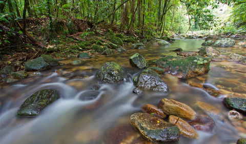 Iron Pot Creek Campground - Accommodation Sunshine Coast 2