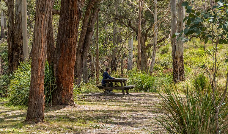 Legume NSW Accommodation Sunshine Coast