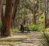 Koreelah Creek campground - Accommodation Sunshine Coast