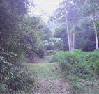 Macas Camping Ground - Accommodation Sunshine Coast