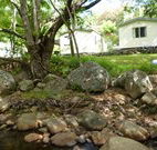 Mt Warning Rainforest Park - Accommodation Sunshine Coast