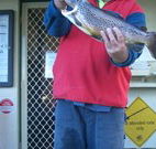 Rainbow Pines Tourist Caravan Park - Accommodation Sunshine Coast
