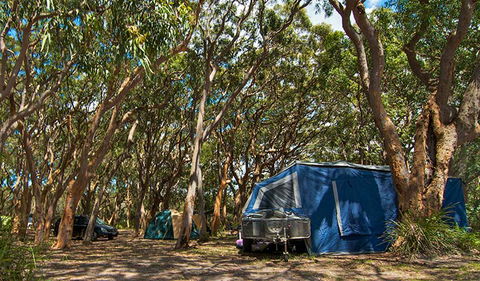 Stewart And Lloyds Campground - Accommodation Sunshine Coast 0