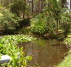 Tallowood Ridge B and B - Accommodation Sunshine Coast