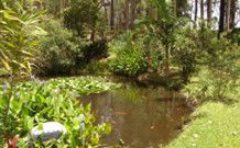 Tallowood Ridge B And B - Accommodation Sunshine Coast 0