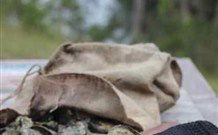 The Escape Luxury Camping - Accommodation Sunshine Coast 1