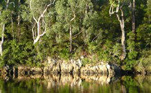 The Escape Luxury Camping - Accommodation Sunshine Coast 5