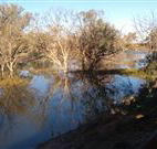 Warrawong on the Darling - Accommodation Sunshine Coast