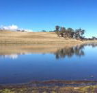 Bombala Maneroo Motel - Bombala - Accommodation Sunshine Coast