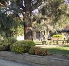 Hamilton Hume Motor Inn - Yass - Accommodation Sunshine Coast
