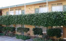 Mid City Motor Inn - Queanbeyan - Accommodation Sunshine Coast 4