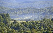 Nowendoc NSW Accommodation Sunshine Coast