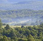 Nowendoc Country Motel - Nowendoc - Accommodation Sunshine Coast