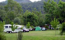 Sandy Hollow Tourist Park - Sandy Hollow - Accommodation Sunshine Coast 0