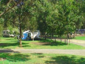 Weeroona Caravan Park - Accommodation Sunshine Coast 2