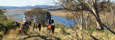 Reynella Homestead And Horseback Rides - Accommodation Sunshine Coast 3