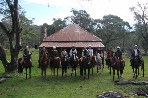 Reynella Homestead And Horseback Rides - Accommodation Sunshine Coast 4