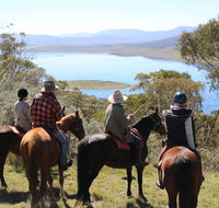 Reynella Homestead and Horseback Rides - Accommodation Sunshine Coast