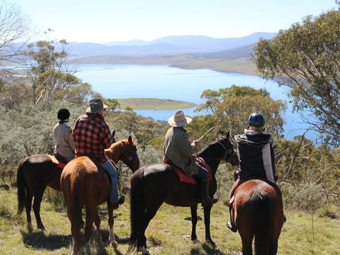 Reynella Homestead And Horseback Rides - Accommodation Sunshine Coast 0