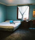 Noahs City Backpackers Hostel - Accommodation Sunshine Coast 0