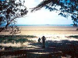 Travellers Rest Caravan & Camping Park - Accommodation Sunshine Coast 0