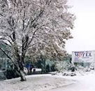 Maneroo Motel - Accommodation Sunshine Coast