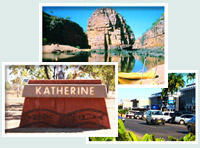 Red Gum Tourist Park - Accommodation Sunshine Coast 0