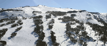Thredbo Alpine Hotel - Accommodation Sunshine Coast
