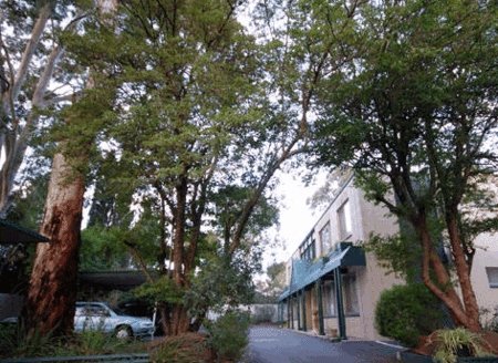Glenside SA Accommodation Sunshine Coast