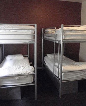 Elephant Backpackers - Accommodation Sunshine Coast 1
