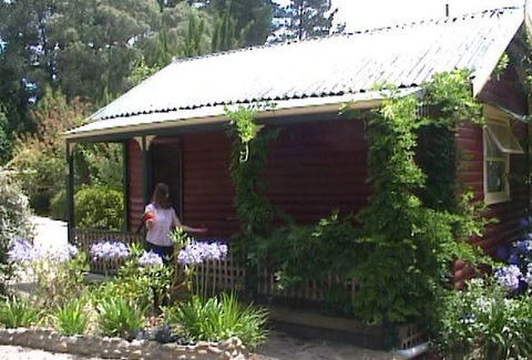 Cedar Lodge Cabins - Accommodation Sunshine Coast 1