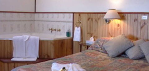 Cedar Lodge Cabins - Accommodation Sunshine Coast 2