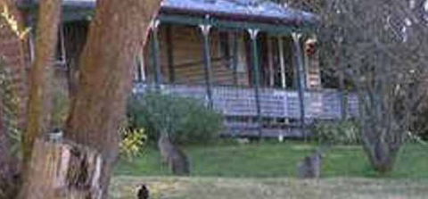 Cedar Lodge Cabins - Accommodation Sunshine Coast 3