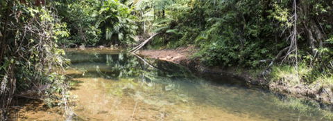 Mission Reef Resort - Accommodation Sunshine Coast 4