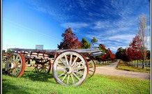  Accommodation Sunshine Coast