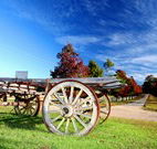 The Oaks Ranch and Country Club - Mossy Point - Accommodation Sunshine Coast