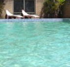 Toreador Motel - Coffs Harbour - Accommodation Sunshine Coast