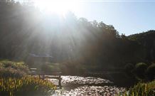  Accommodation Sunshine Coast